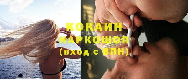 трава Магас