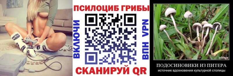 Купить где  Новый Уренгой  Галлюциногенные грибы мицелий 
